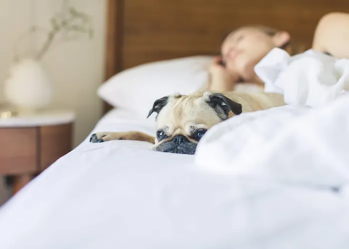 ホテル Sofitel Skipper